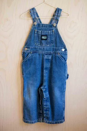 Blue Denim Vintage Overalls: 18mos