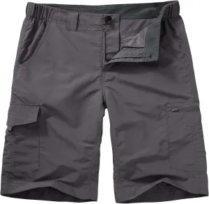 Hiking Shorts for Men Cargo Casual Quick Dry Lightweight Stretch Waist Outdoor Fishing Travel Shorts